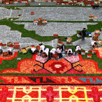 brussels-grand-place-flower-carpet-2014