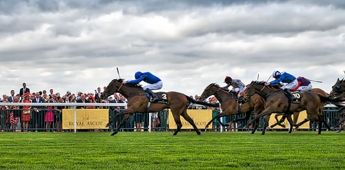 Royal Ascot 2015" (CC BY-SA 2.0) by ReflectedSerendipity